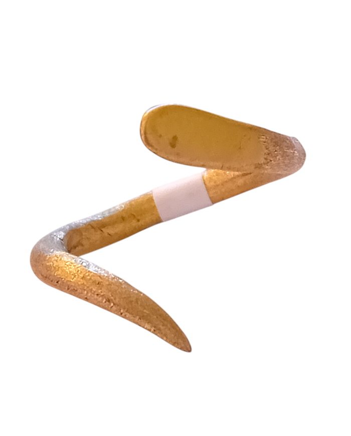 Δαχτυλίδι φίδι