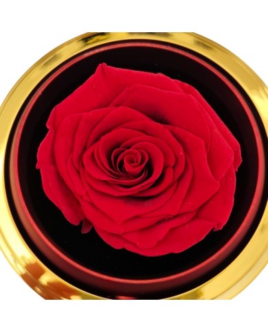 Κοσμηματοθήκη με forever rose αληθινό τριαντάφυλλο