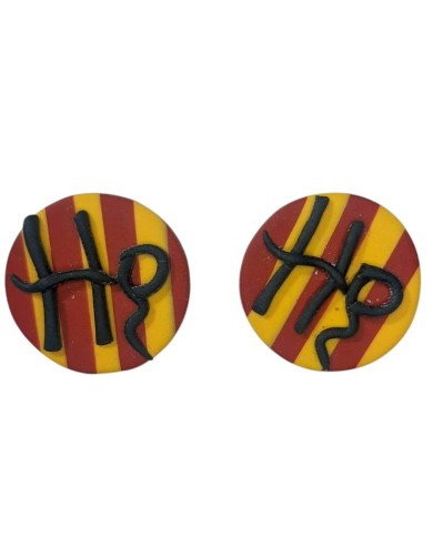 Καρφωτά σκουλαρίκια Harry Potter
