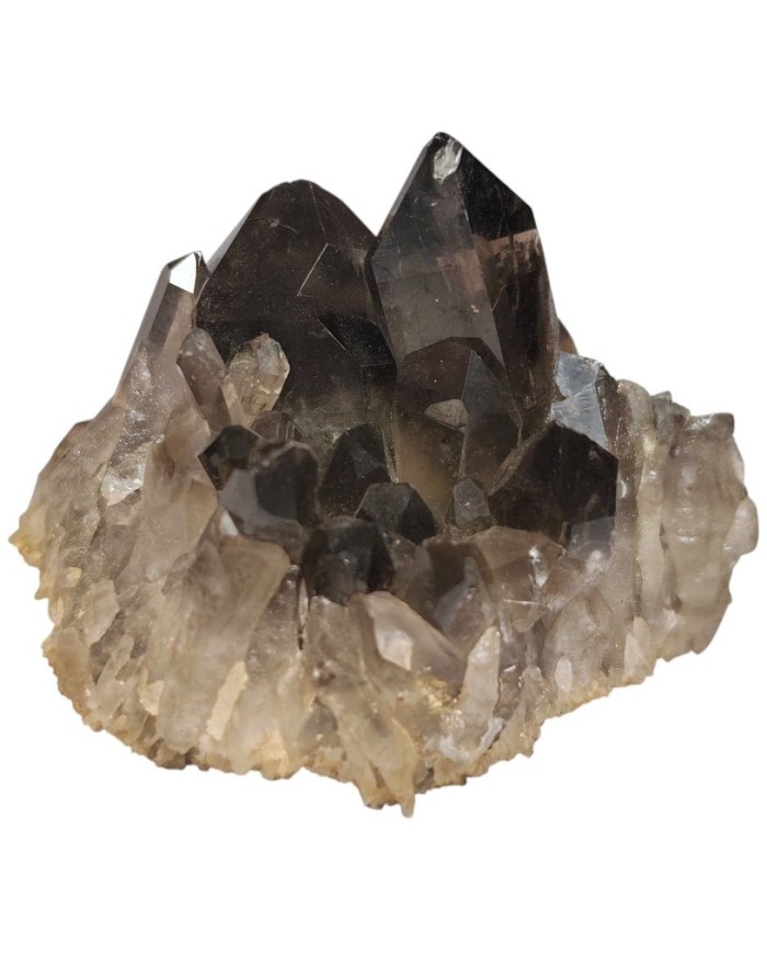 Καπνίας Χαλαζίας 105gr.
