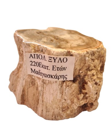 Απολιθωμένο ξύλο Μαδαγασκάρης 125γρ.