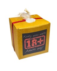 Kinky mystery wax melts box