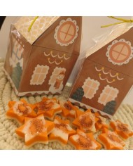 Gingerbread house box κουραμπιές